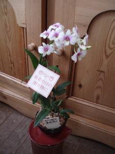 敬老の日✿９・２０㈪｜「花工房アクト」　（静岡県浜松市中央区の花キューピット加盟店 花屋）のブログ